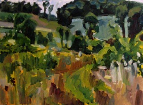 Rural field Rural field